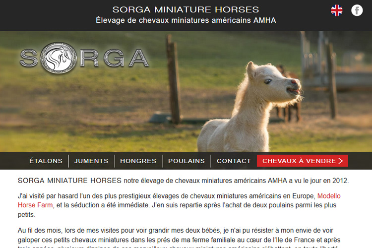 Page d'accueil du site Sorga Miniature Horse