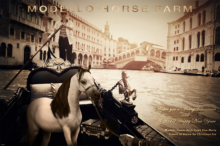 Carte de voeux Modello Horse Farm, cheval galopant dans Paris